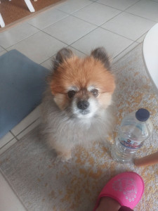 Photo de galerie - Noon