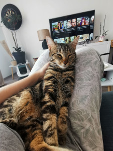 Photo de galerie - Plein d'amour ?