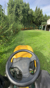 Photo de galerie - Tonte de pelouse 