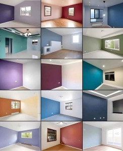 Photo de galerie - Peinture 