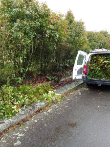 Photo de galerie - Après avoir coupé la haie et le ramassage des déchets verts