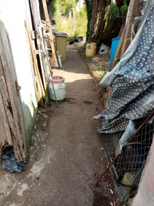 Photo de galerie - Tonte de pelouse - Débroussaillage