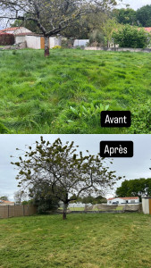 Photo de galerie - Débroussaillage + taille d’arbustes 