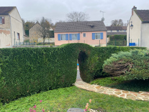 Photo de galerie - Taille de haie