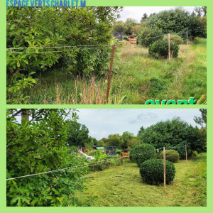Photo de galerie - Avant / après Débroussaillage taille d'arbustes avec évacuer des déchets verts 