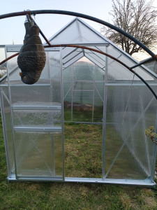 Photo de galerie - Montage d'une serre en polycatbonate 