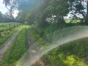 Photo de galerie - Avant la debroussailleuse 