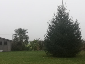 Photo de galerie - Avant t’aille 