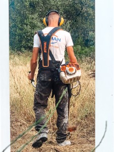 Photo de galerie - Tonte de pelouse - Débroussaillage