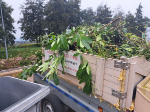 Photo de galerie - Besoin d’un débarras rapide et efficace dans le Cotentin ?
Normand Good Deal est là pour vous aider : maisons, caves, garages, ferraille, encombrants...
Contactez-moi directement par message 
Réponse rapide et travail soigné garanti.