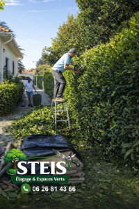 Photo de galerie - Aille millimétrée : On redessine vos bordures proprement. ✅

Hauteur maîtrisée : Équipement pro pour un sommet parfaitement plat. ✅

Nettoyage total : On repart avec les déchets, vous récupérez une allée impeccable.