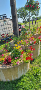 Photo de galerie - Jardinier