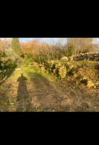 Photo de galerie - Jardinier