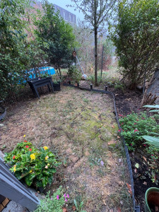 Photo de galerie - Paysagiste - Aménagement du jardin