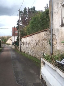 Photo de galerie - Taille de haie