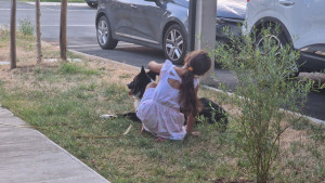 Photo de galerie - Garde chien