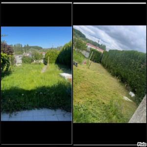 Photo de galerie - Réalisation d’une tonte de pelouse et d’une taille de haie cliente très satisfait