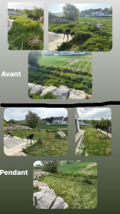 Photo de galerie - Débroussaillage et tonte avant pendant 