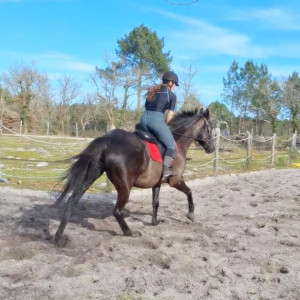 Photo de galerie - *