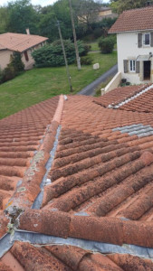 Photo de galerie - Arêtier faîtage 