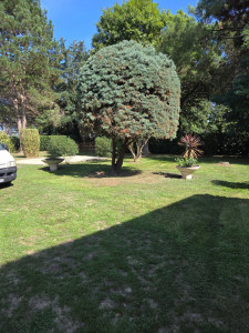 Photo de galerie - Fini