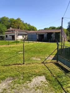 Photo de galerie - Après tonte 