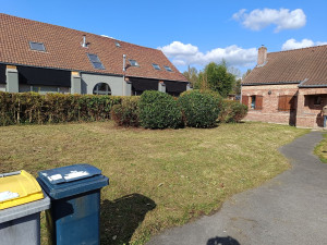 Photo de galerie - Taille de haies et d'arbustes