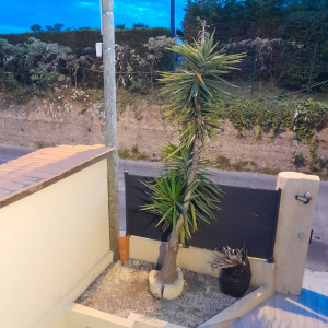 Photo de galerie - Désherbage de l'espace et coupe de feuilles d'arbre 