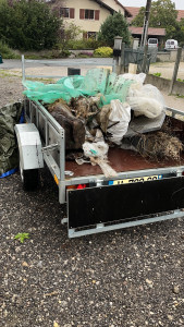 Photo de galerie - Paysagiste - Aménagement du jardin