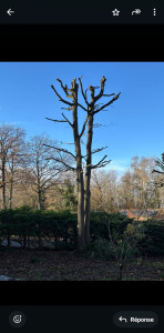 Photo de galerie - .