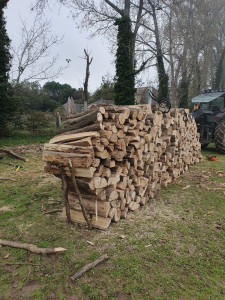 Photo de galerie - COUPE DE BOIS CHAUFFAGE.....