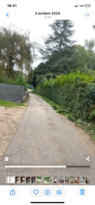 Photo de galerie - Taille de haies et d'arbustes