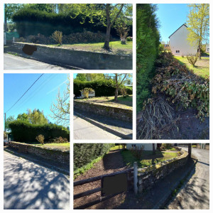 Photo de galerie - Évacuation de taille de haies  10m3