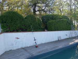 Photo de galerie - Taille de haie 