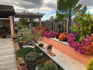 Photo de galerie - Aménagement de jardinières 