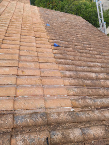 Photo de galerie - Couverture - Toiture