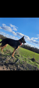 Photo de galerie - Pet sitting 