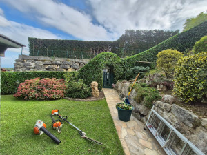 Photo de galerie - Entretien haie intérieur extérieur dessus évacuation déchets 