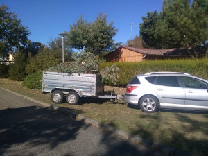 Photo de galerie - EVACUATION DECHET VERTS OU AUTRES