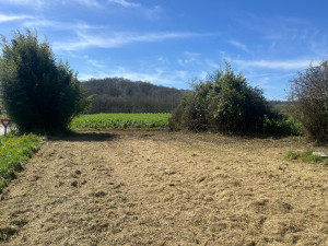 Photo de galerie - Photo après prestation