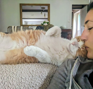 Photo de galerie - Visites régulières et soin du petit Chachou durant les absences de sa maîtresse 