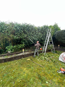 Photo de galerie - Taille de haute avec équipement professionnel styl 