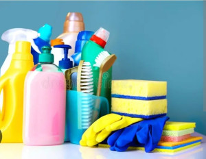 Photo de galerie - Femme de ménage 