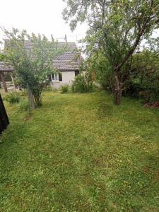 Photo de galerie - Tonte de la pelouse 