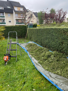 Photo de galerie - Taille de haies et d'arbustes