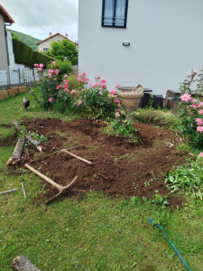 Photo de galerie - Extraction d'un arbre mort puis plantation et désherbage 