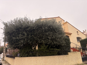 Photo de galerie - Jardinier