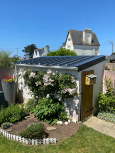 Photo de galerie - Couverture Bacacier sur abri jardin 