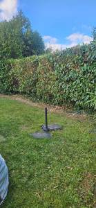 Photo de galerie - Taille de haie 