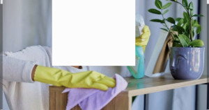 Photo de galerie - Bonjour, je m'appelle Courage. Je travaille comme femme de ménage. J'ai travaillé pour plusieurs personnes. Merci.